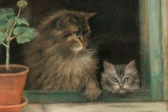 Genrietta-Ronner-Knip-