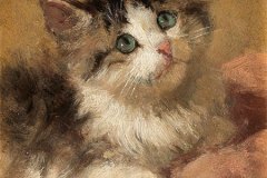 Genrietta-Ronner-Knip-11