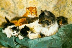 Genrietta-Ronner-Knip-12