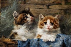 Genrietta-Ronner-Knip-3