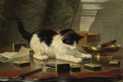 Genrietta-Ronner-Knip-5